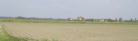 Esonero dei contributi agricoli, c’è tempo fino al 30 settembre per la domanda